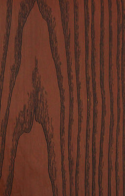 Прокатанные внутренние декоративные панели стены Пвк, деревянные листы панелинг стены